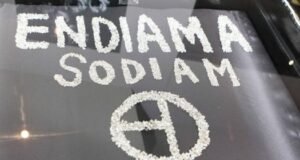 Governo Angolano quer privatizar ENDIAMA E SODIAM