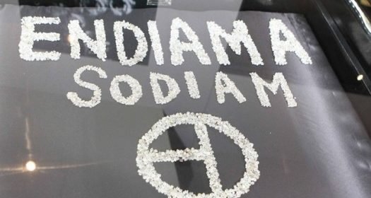 Imagem de arquivo da publicação original.
