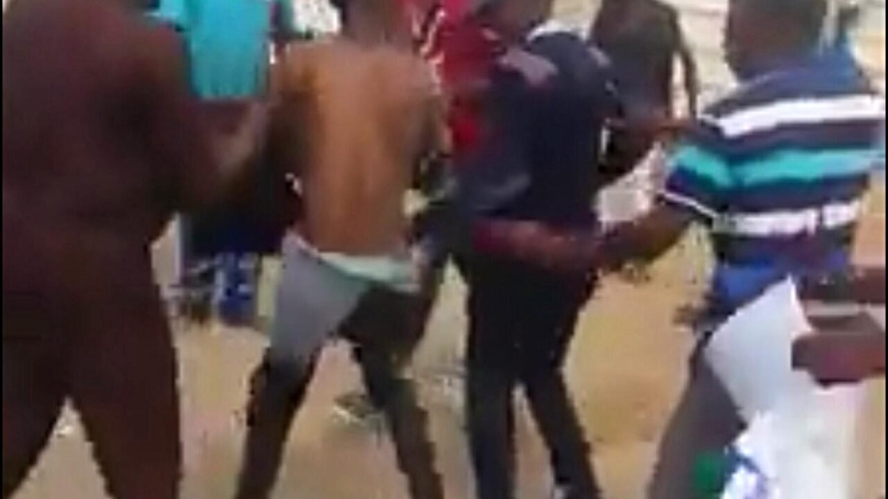 Imagem de arquivo da publicação original.