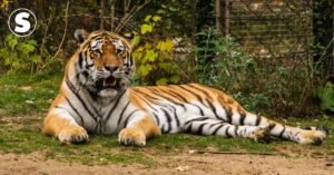 30 milhões de pessoas perderam o emprego