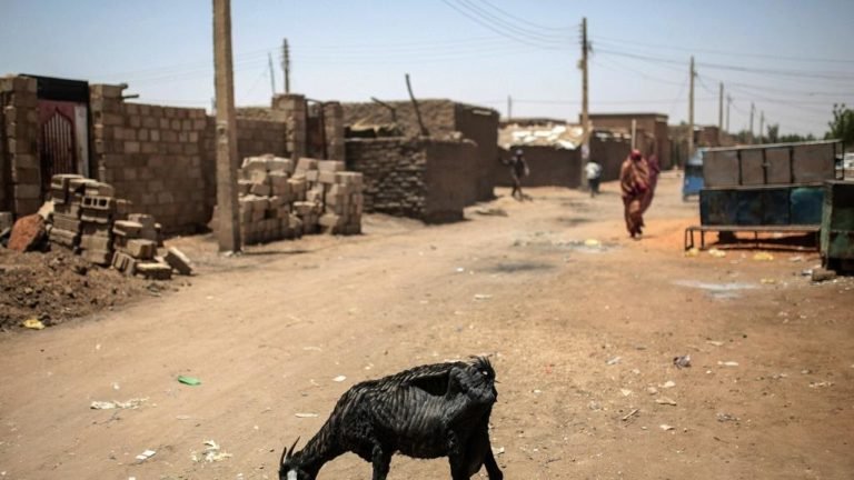 Três Ex-ministros sudaneses testam positivo