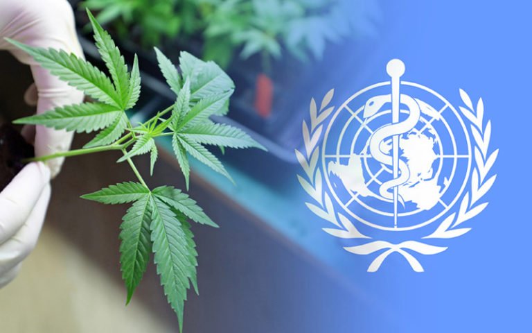 Ruanda cannabis