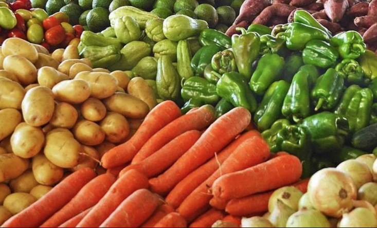 Exportações África do Sul