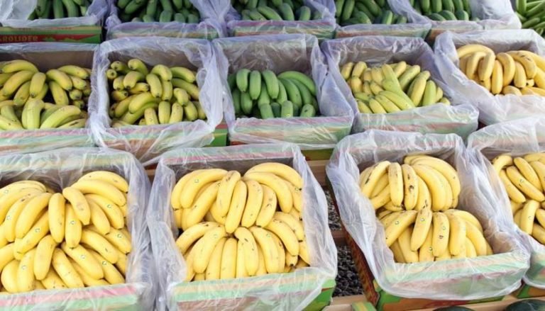 Angola Banana