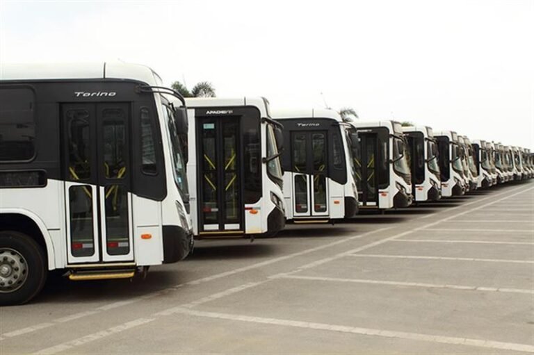 autocarros milhões