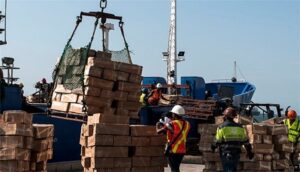 técnico informático