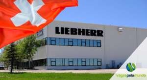 Endiama Mining Endiama Mining