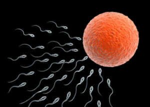 cabo verde tem mais telemóveis ativos do que habitantes cabo verde tem mais telemóveis ativos do que habitantes